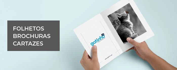 Gatinho - Agência de Comunicação | Folhetos | Brochuras | Cartazes